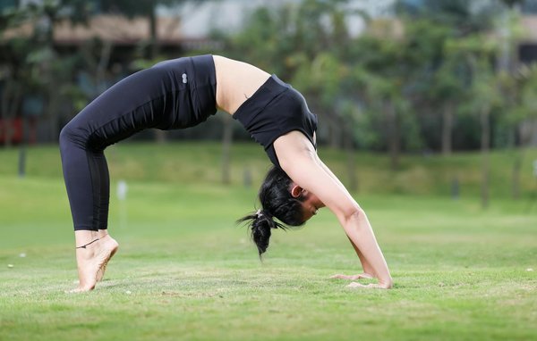 How can you support local UK pet charities?