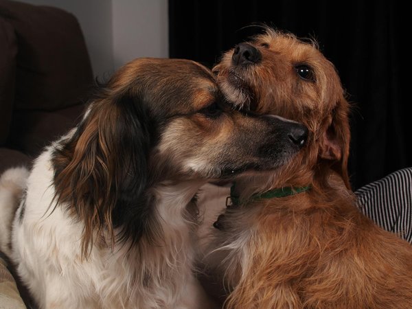 What are the best practices for UK businesses to optimize supply chain efficiency?