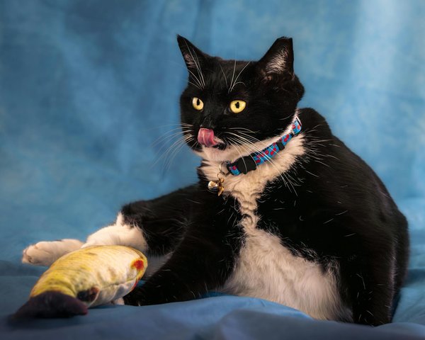 How do UK sports influence international sporting events?